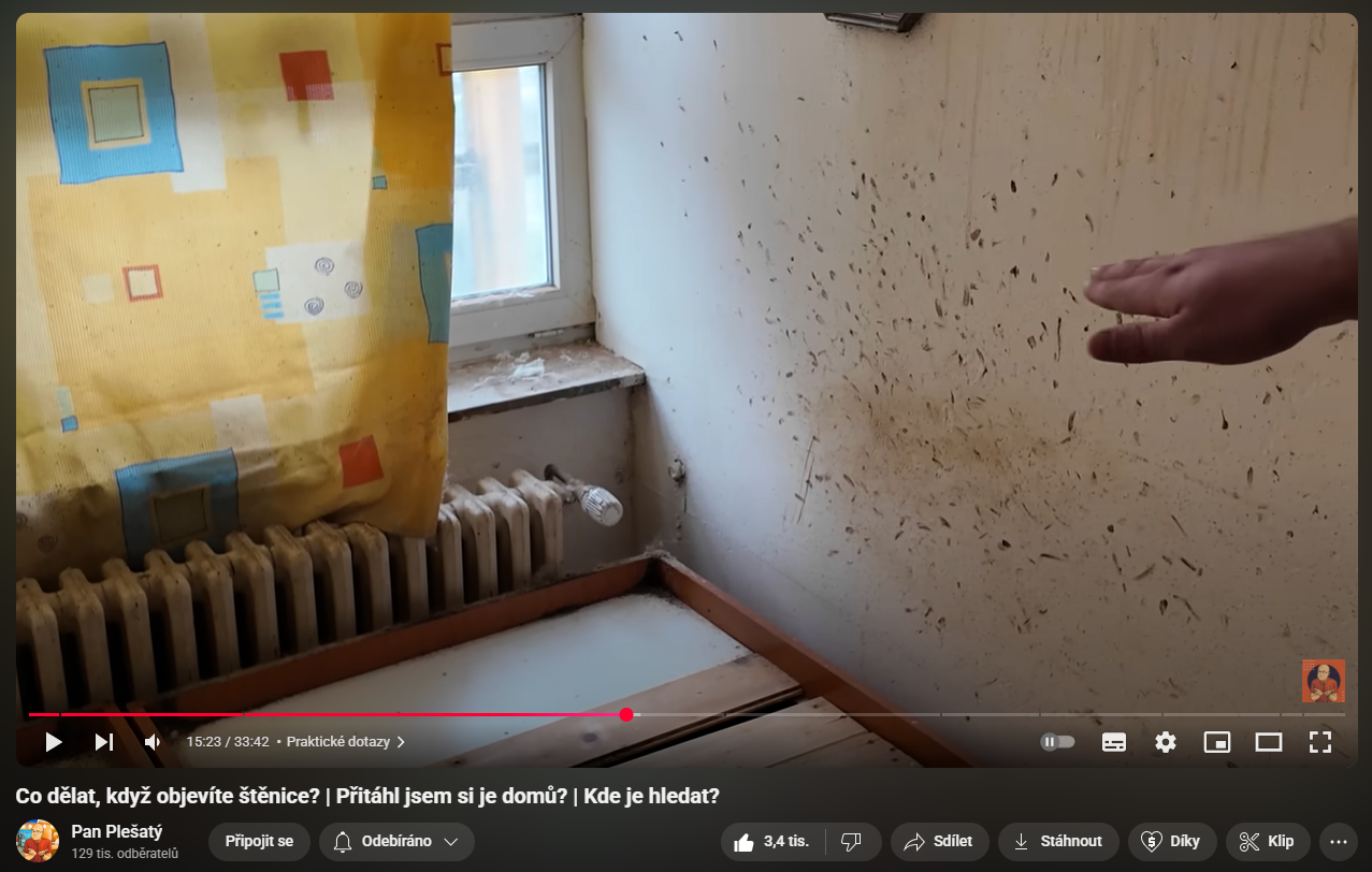 Co odpuzuje štěnice? logo