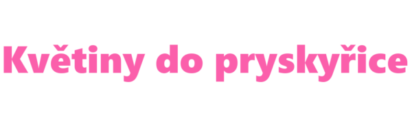 Jak vybrat pryskyřici na nehty? logo