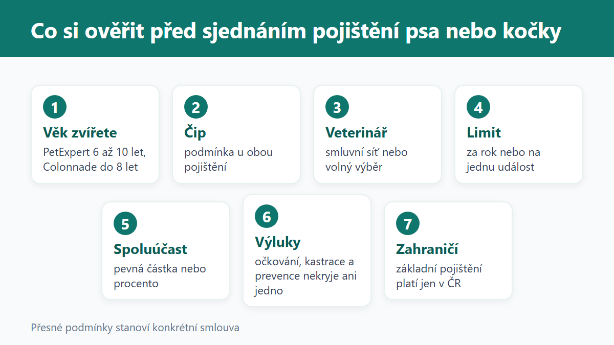 (Grafika: Generated)
